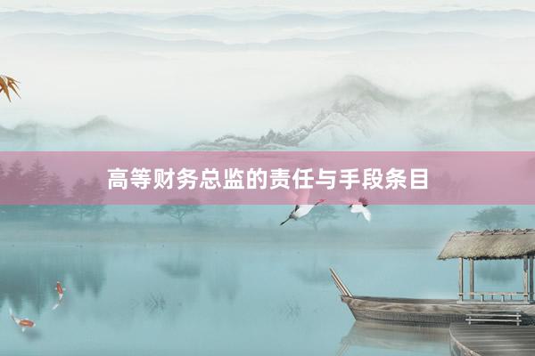 高等财务总监的责任与手段条目