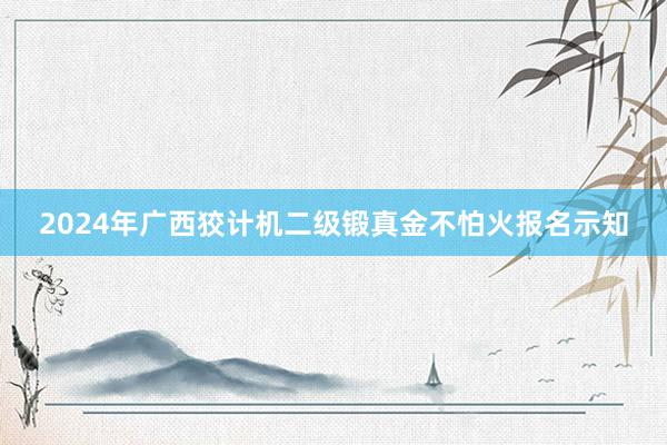 2024年广西狡计机二级锻真金不怕火报名示知