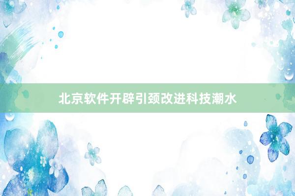 北京软件开辟引颈改进科技潮水