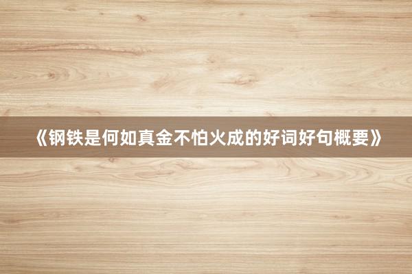《钢铁是何如真金不怕火成的好词好句概要》